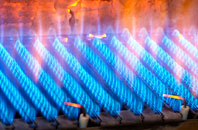 Asheldham gas fired boilers
